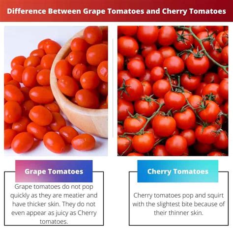 tomates vs jitomates